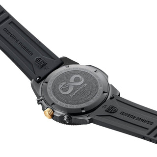 Pacific Diver Chronograph, SNAKE YEAR Limited Edition, 44 mm, Taucheruhr - 3141.BO.SNAK.N, Gehäuseboden