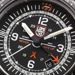 Bear Grylls Survival, 45 mm, Pilotenuhr - 3761, Ziffernblatt